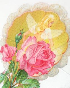 BOYS LIE X White Room To Grow Hoodie -Boys Lie Sales Store 4O7A5275r1