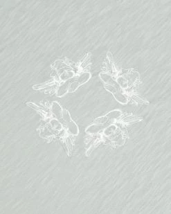 BOYS LIE X Sage Rising Angels Boyfriend Tee 20 BOYS LIE X Sage Rising Angels Boyfriend Tee -Boys Lie Sales Store 4O7A5452